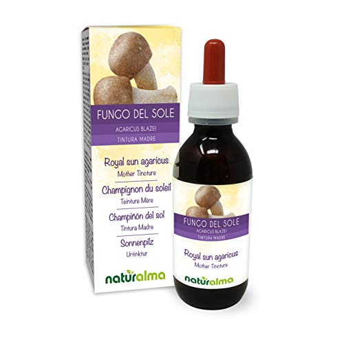 Champiñón del sol o Seta de almendra (Agaricus blazei o A. subrufescens) hongo Tintura Madre sin alcohol Naturalma - Extracto líquido gotas 120 ml - Complemento alimenticio - Vegano