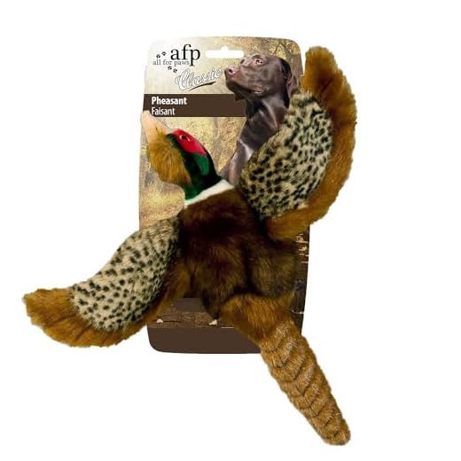 All for Paws Classic Pheasant Pet Toys, Squeaky Dog Toys, Large