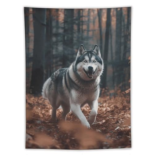 Tapisserie murale esthétique motif chien 152x203cm art mural pour salon