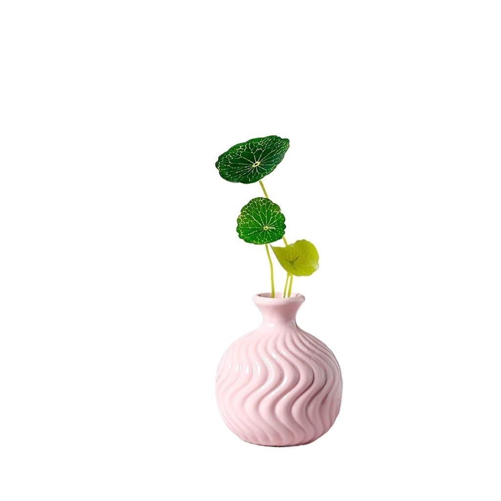 GELASIGE Flower Pots European ceramic vases, creative mini flower pots, hydroponic flower arrangements Outdoor Flower Pots(C)