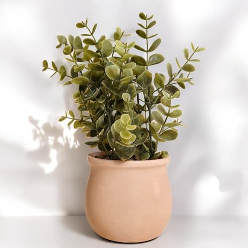 Image of Chitra Artificial Fern Plant with Pot for Home, Office, Living Room & Counter Decoration | Realistic Faux Greenery for Indoor Use | Durable Plastic Pot (2)