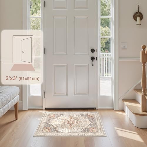 Tortania Area Rug 2x3 Doormat - Washable Vintage Oriental Farmhouse Soft Thin Indoor Carpet for Living Room Bedroom Hallway Entryway Kitchen - Orange Multi