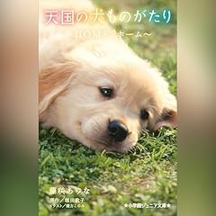 天国の犬ものがたり～ＨＯＭＥ ホーム～ 小学館ジュニア文庫 Audiobook By 藤咲 あゆな, 堀田 敦子 cover art
