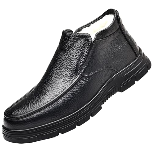 [DONGNEW] Xm[u[c ~C C h 24.5cm N h h y [N oRC AEghA gbLOV[Y ubN ۉ ~ ϖ Ռz Y fB[X nCLOV[Y V[gu[c V nCJ