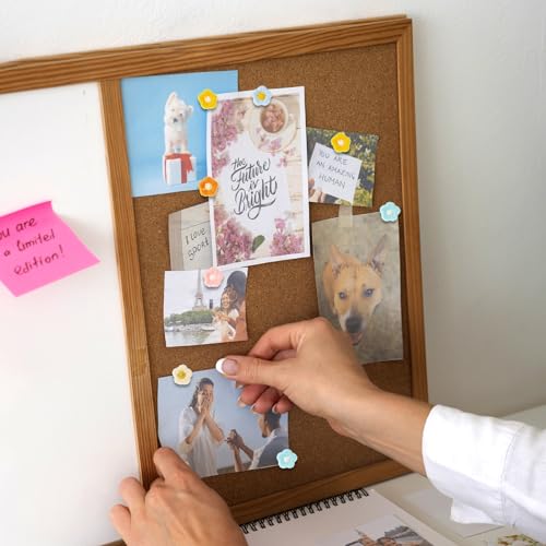 Mabor 60 peças de tachas decorativas de polegar de flores fofas para quadro de avisos de cortiça, ta
