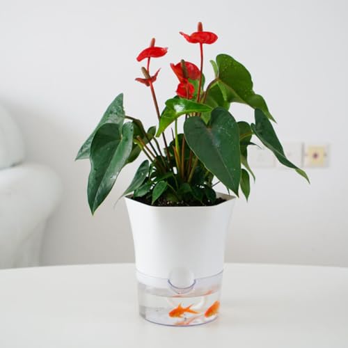 Pot de fleurs auto-irrigant grand modèle avec cordon d'absorption pour succulentes