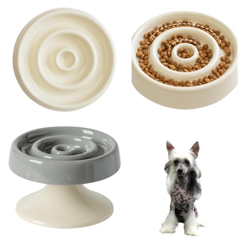 Lifetips `Cj[YNXebhhbO `CN Lp X[t[h{E ؐ Hh~ ~ HZbg ^ L  􂢂₷ i-̌^^CvO[j