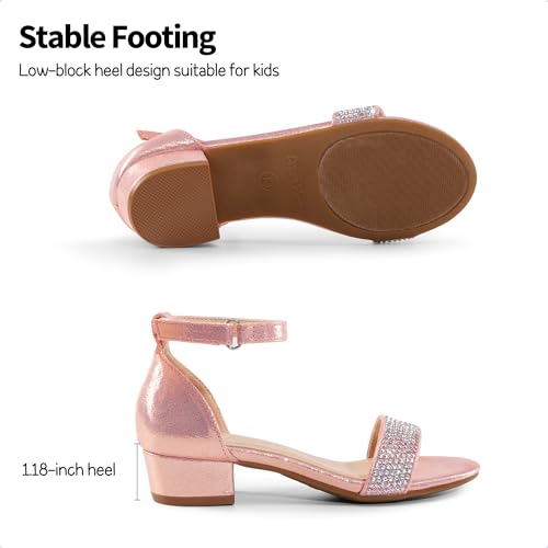 Image of DREAM PAIRS Girls Sandals Low Heel Dress Pump Ankle Strap Flower Wedding Party Shoes for Little Kid /Big Kid