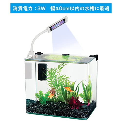 JINCH 水槽 ライト アクアリウムライト LED 熱帯魚ライト タイマー付き 18-40cm水槽対応 4色発光 10段階調光 3W省エネ 長寿命 3種類点灯パターン JP028-BW の商品画像 1