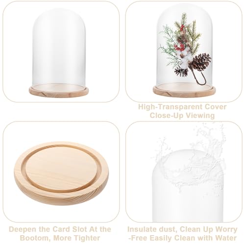 APACALI 1 Stück Glasglocke mit Holzboden, 30cm Dekorative Glashaube, Transparent Glasglocke, Glashaube Glasbox Glas, Glass Dome Cloche mit Boden für Lichter, Deko, Wohnaccessoire
