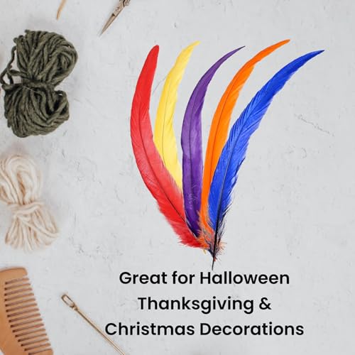 image for ALAZCO 120 pcs Colorful Feather Natural Feathers for DIY Crafts Dream 