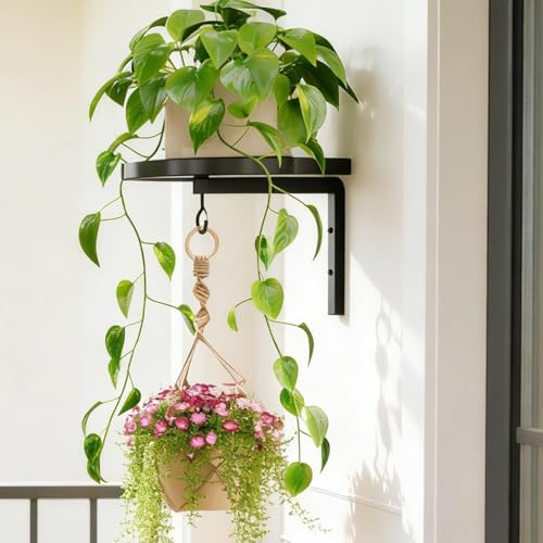Support mural pour étagère et pot de fleur en métal robuste lot de 2 pièces noires