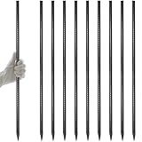 AAGUT Rebar Stakes 40 Inch 10 Pcs, 1/2