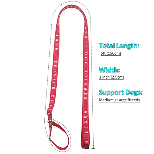 Btinesful 12Ft Dog Tie Out Rope + 5Ft No-Choking Slip Lead Service Dog Leash #TOP5