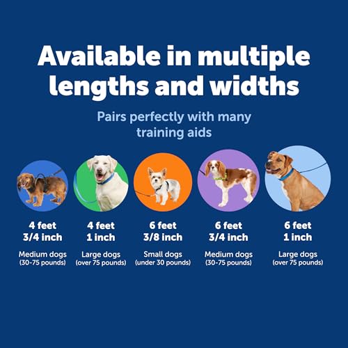 Image of PetSafe Nylon Dog Leash Strong, Durable, Traditional Style Lead with Easy to Use Bolt Snap for Small, Medium and Large Dogs 3 /4 inch x 6', Red