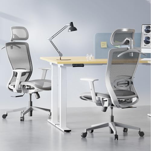 Image of FLEXISPOT OC3 Air Ergonomic Office Chair Mesh Back Swivel Computer Chair Executive Office Desk Chairs with Adjustable Lumbar Support /2D Headrest /Lockable Backrest, Mesh Seat Cushion, Light Gray
