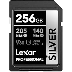 Amazon.com: Lexar 256GB Professional Silver SDXC Memory Card