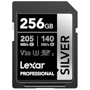 Lexar 256GB Professional Silver SDXC Memory Card, UHS-I, C10, U3, V30, 4K Video, Up to 205/140 MB/s Read/Write, for Professional Photographer, Videographer, Enthusiast (LSDSILV256G-BNNNU)