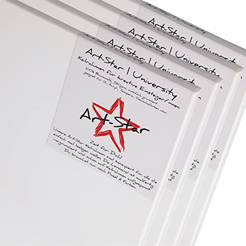 Star 4X Chassis ENTOILÉ Art UNIVERSITÉ 40x50cm | Toiles sur châssis 40x50 cm | Toile préimprégnée, prêts à Peindre, châssis avec Toile