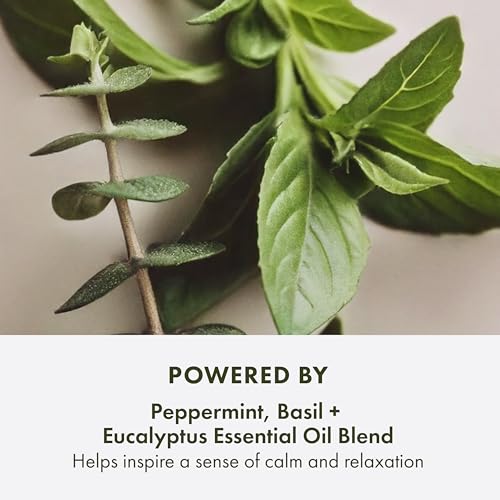 Origins Peace of Mind On-the-Spot Relief | Relaxing Aromatherapy Experience With Eucalyptus, Peppermint & Basil Essentia - Additional View