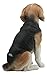 Ebros Large Lifelike Realistic Classic Tri Colored Beagle Dog Statue 14.5