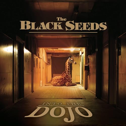 Into the Dojo - Vinyl release thumbnail