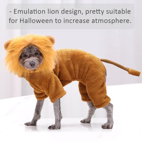 Disfraz de León para Perros Talla XXL FRCOLOR miniatura 6