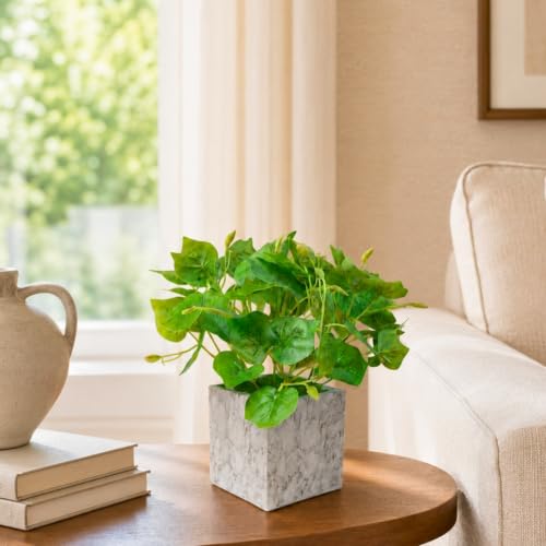 Image of fancymart Artificial Plant with Real-Touch Leaves in Pot, 25 cm, Indoor Tabletop Item for Home Decor, Office, Living Room
