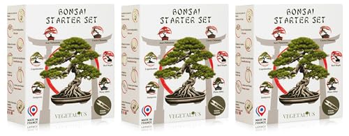 VEGETALIUS - Kit completo di 6 bonsai con semi e