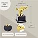 Juvale Fishing Trophy Award - Awards-Ready Base with Engraving Space - Fishing Tournament Prizes & Kids Gifts - Funny Trophy for Adults & Teens - 3 x 5 in, Gold-Plated Plastic, Black Base
