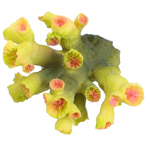 Beaupretty ?^^X萅u O[ ̎oh CeA Ϗ܋̗Vя ^pI[ig