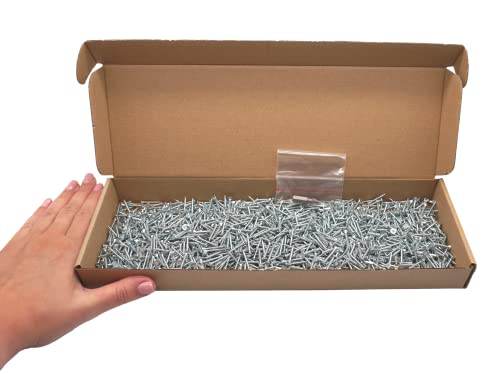 SKIR'CO Confezione da 1500 viti in acciaio