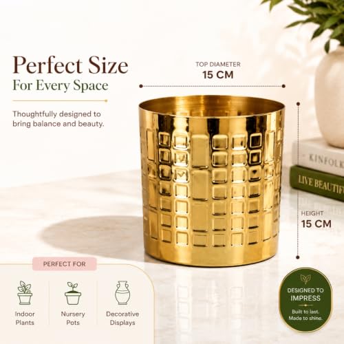 Image of ecofynd 1 Pack Metal Plant Pots (6 inch), Indoor Small Planter Flower Pots, Home Garden Decor Planter for Living Room Bedroom Interior (Gold Finish, POT055)