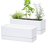D'vine Dev 12 Inch Window Box Planter, Rectangle Plastic Herb Planter with Drainage Holes and Saucer, Indoor Succulent Cactus Vegetable Pot for Windowsill, Garden Balcony, White, Set of 2, 76-X-A-2