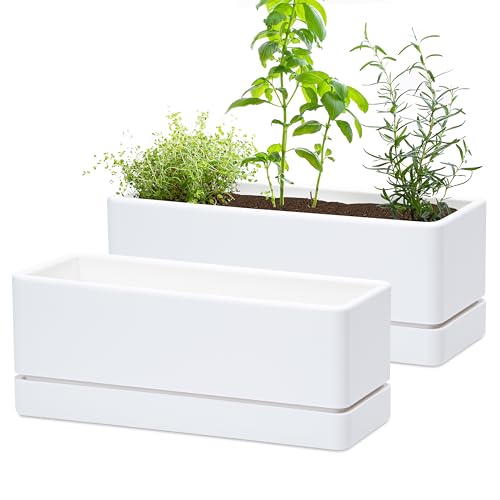 D'vine Dev 12 Inch Window Box Planter, Rectangle Plastic Herb Planter with Drainage Holes and Saucer, Indoor Succulent Cactus Vegetable Pot for Windowsill, Garden Balcony, White, Set of 2, 76-X-A-2