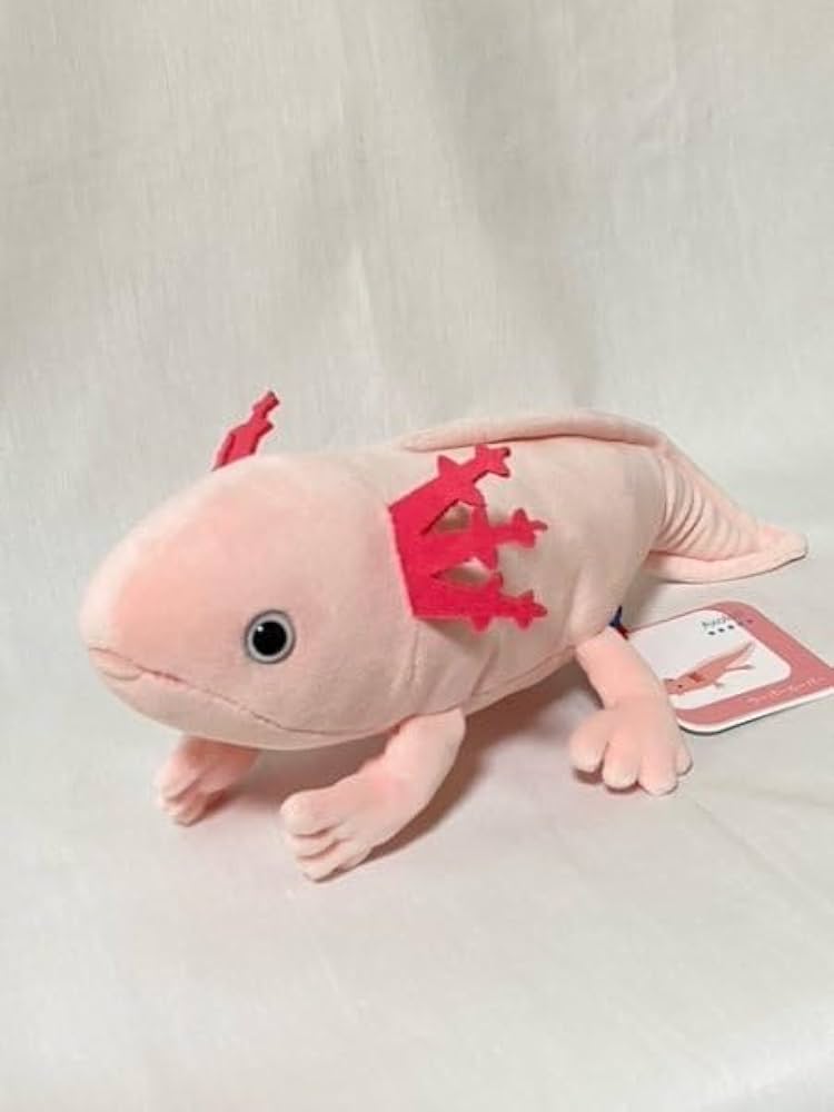 ウーパールーパーぬいぐるみ Amazon.co.jp: ウーパールーパー ぬいぐるみ 爬虫類 アニマニア