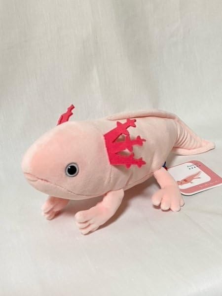 Amazon.co.jp: ウーパールーパー ぬいぐるみ 爬虫類 アニマニア 062247