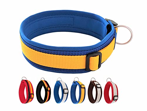 BUDDYPACK | Exklusives Hundehalsband Extra-Breit und Weich mit Neopren-Polster | Größe XXS-3XL | Verstellbar (XS (32-37 cm), Blau-Gelb)
