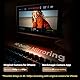 SMALLRIG Wireless Monitor, Magnetischer Selfie Monitor für iPhone/Android, Telefonmonitor mit Blitzschuh,Schnellhalterung für MagSafe, 3 Stunden Akkulaufzeit, 10 m Reichweite – 4851B