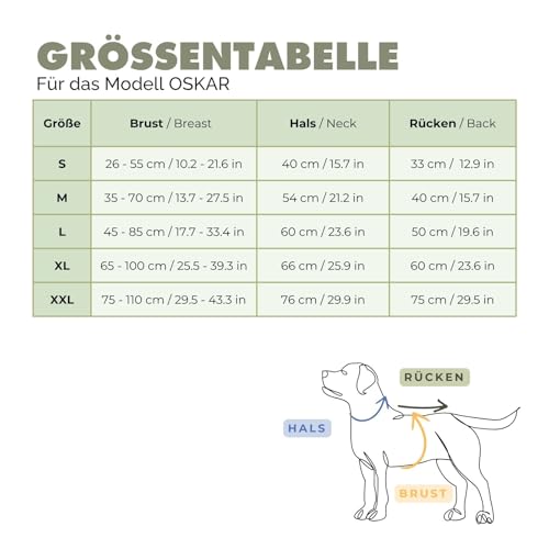 PAW WOW Oskar Hunderegenmantel | Wasserdicht mit Bauchschutz & Geschirröffnung | Reflektierende Hunde-Regenjacke für kleine & große Hunde (XL)