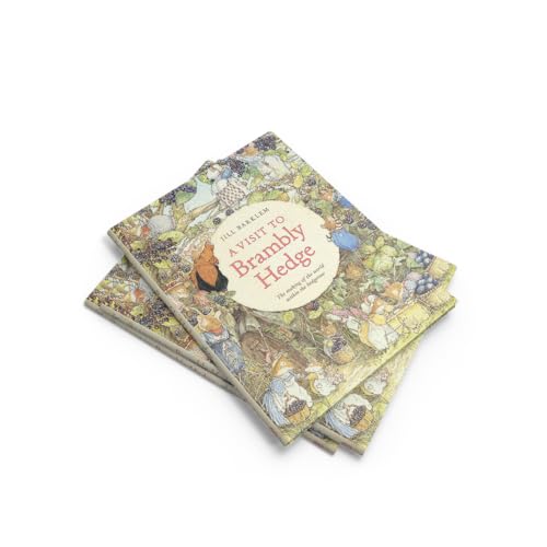 A Visit to Brambly Hedge: An illustrated companion to the world of Brambly Hedge, perfect for collectors and fans of Jill Barklem! - Image 9