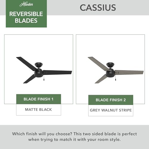 Image of Hunter Cassius, Outdoor or Indoor, Ceiling Fan, 52 inch, Matte Black