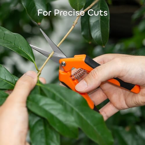 image for GROWNEER 3 Packs 6.5 Inch Pruning Shears Gardening Hand Pruning Snips 