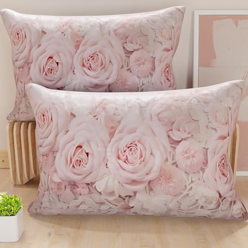 PETTI Artigiani Italiani - Coppia di Federe Cuscino 50x70 cm in Microfibra, Cuscini Arredo Camera da Letto, Divano, Salotto, Set 2 Fodere Copricuscino, Federa Shabby 340, 100% Made in Italy