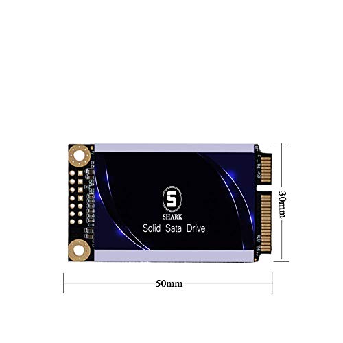 SSD mSATA 250GB Shark Interno Allo Stato Solido Drive Desktop Portatile Ad Alte Prestazioni Hard Disk 32GB 60GB 64GB 120GB 240GB 250GB 480GB 500GB (250Gb, MSATA)