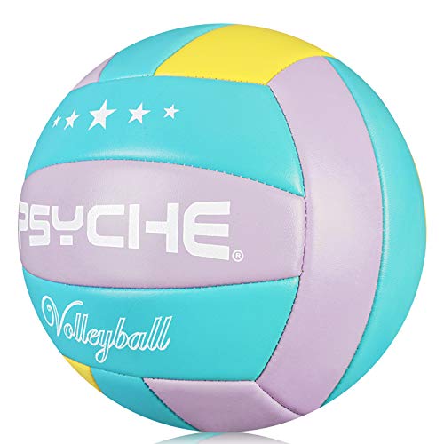 image for Wisdom Leaves Volleyball Soft Touch Beach Volleyball Ball for Outdoor/