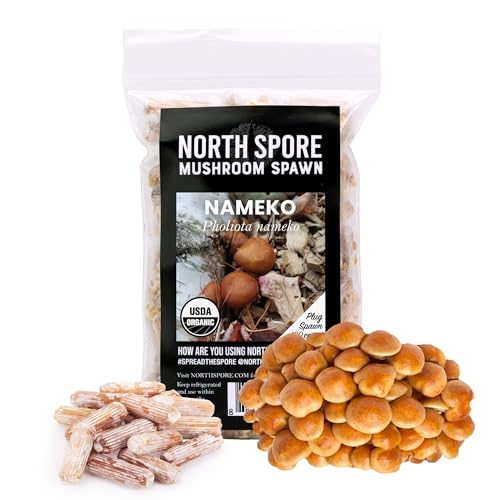 North Spore Organic Nameko 100 Ct Plug Spawn