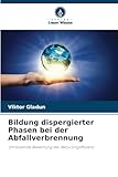Bildung dispergierter Phasen bei der Abfallverbrennung: Umfassende Bewertung der Recyclingeffizienz