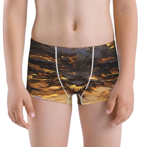 Boys' Cotton Boxer Brief Soft Underwear-Cool Black Gold Dragon