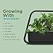 AeroGarden Sprout - Indoor Garden with LED Grow Light, Black